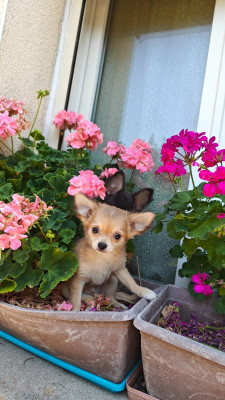 Benco disponible